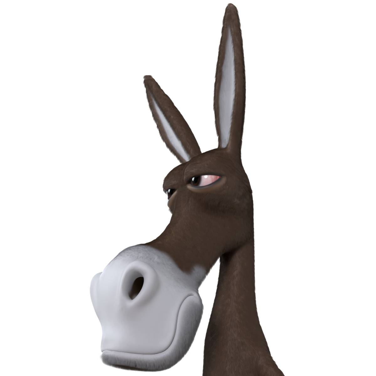 Donkey